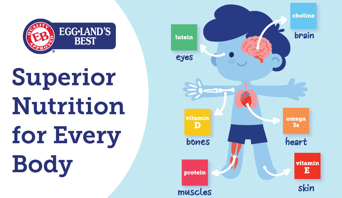 Nutrition Education Build the Body