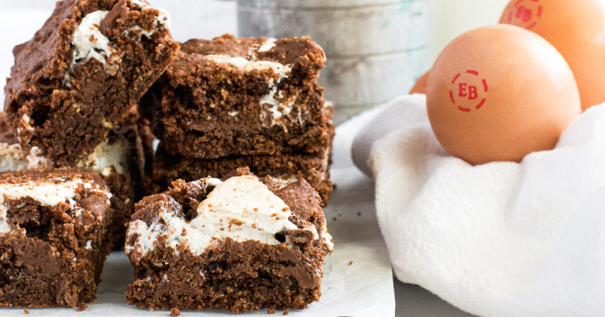Chocolate S'mores Bars Recipe | Eggland's Best