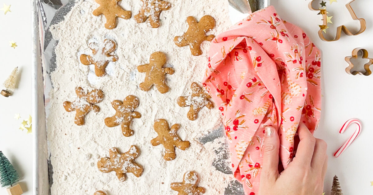 Snow Kissed Gingerbread Cookies Recipe | Eggland's Best