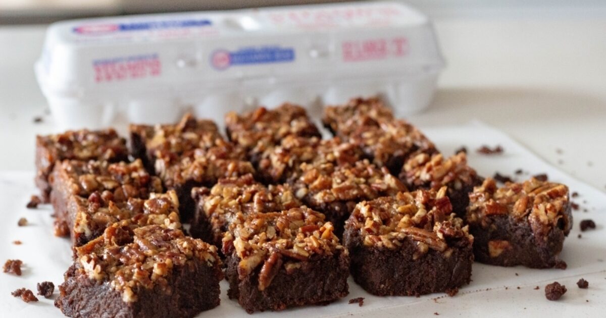 Pecan Pie Brownies Recipe | Eggland's Best