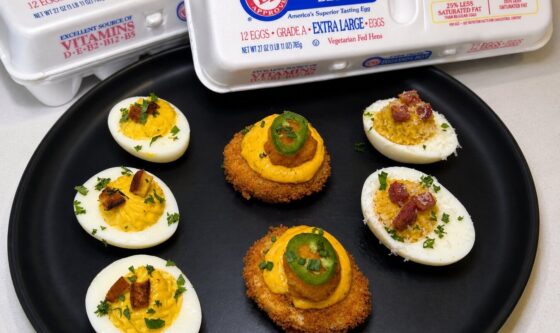 Egg Flight Around the World