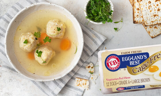 Matzo Ball Soup