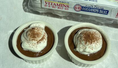 Creamy Chocolate Protein Pudding