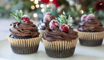 Festive Chocolate Cranberry Cupcakes with Chocolate Frosting