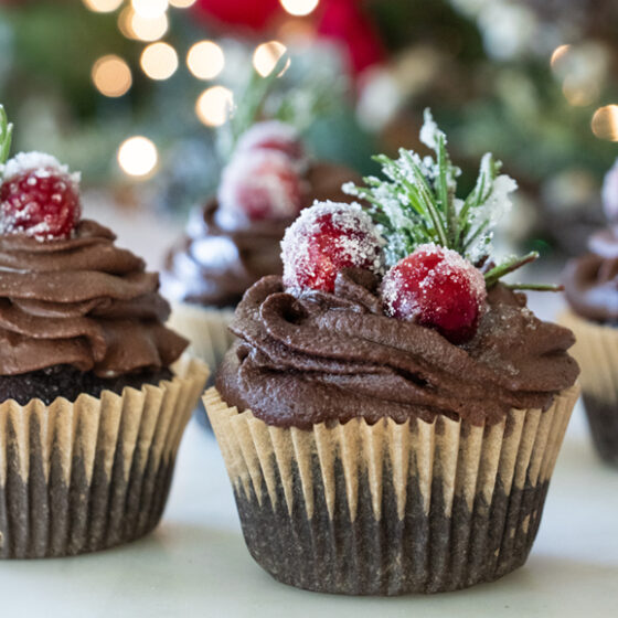 Photo of Festive Chocolate Cranberry Cupcakes with Chocolate Frosting